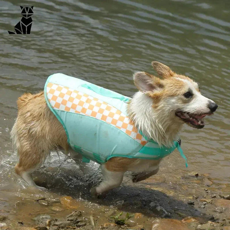 Chien profitant de l’eau dans un amusant gilet de sauvetage Shark pour chiens, montrant une flottabilité supérieure