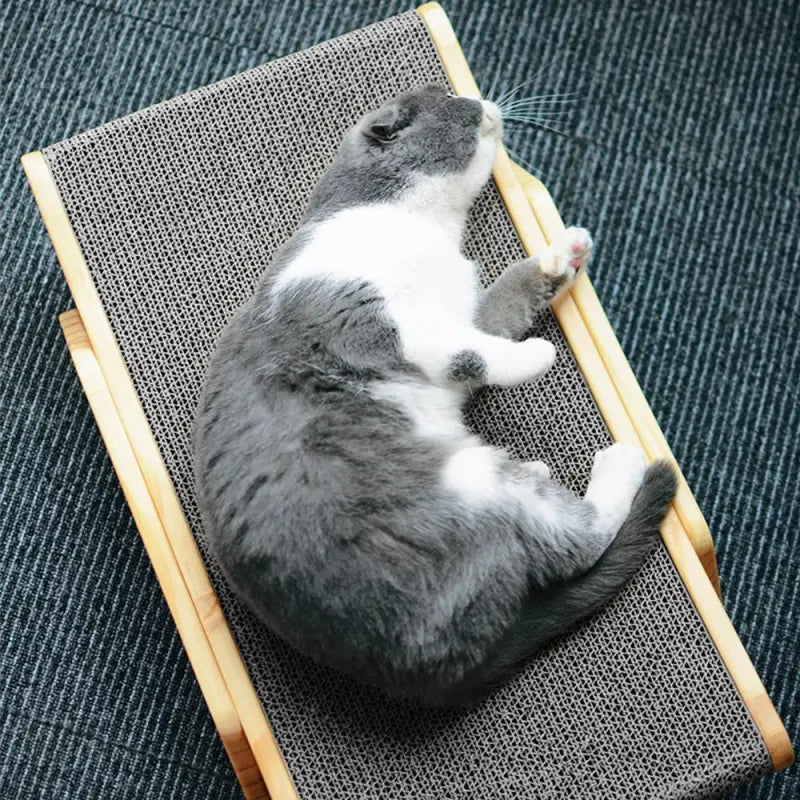 Chat dormant sur une chaise en bois dans un griffoir à chat : Indispensable pour satisfaire son besoin naturel
