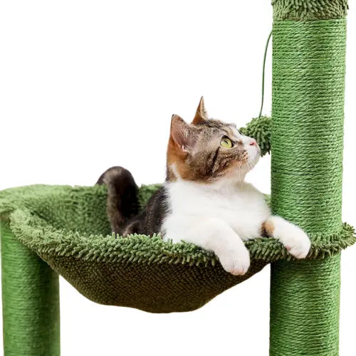 Arbre à chat cactus Transparent Background