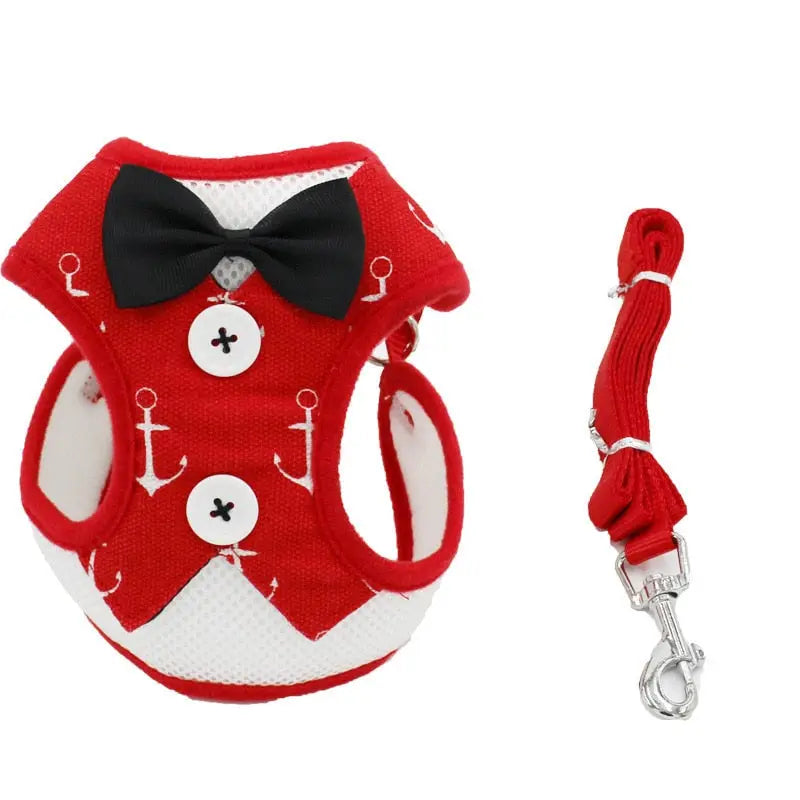 Harnais pour Bichon Maltais