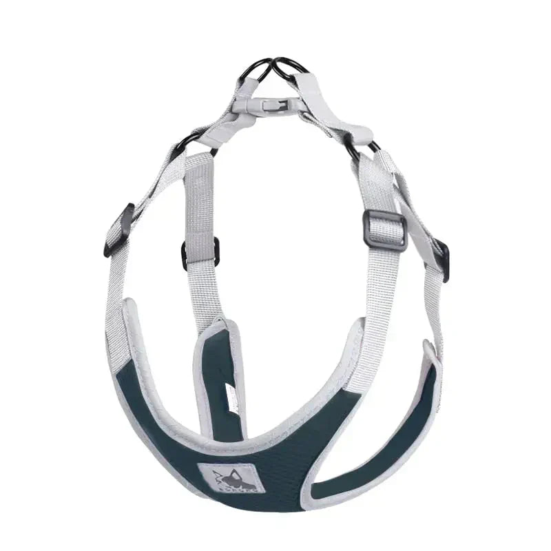 Harnais pour Epagneul