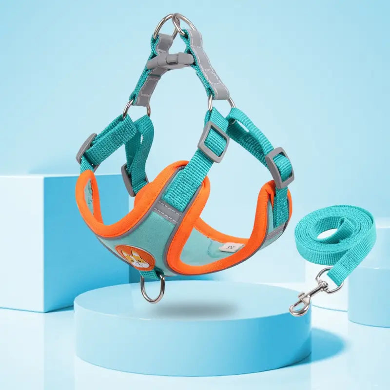 Harnais pour Chien Confortable
