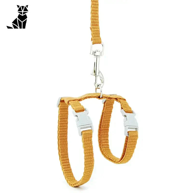 Harnais pour Gros Chat