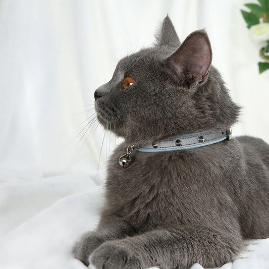 Collier en faux cuir pour chat