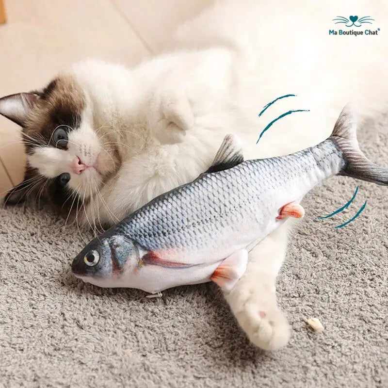 Poisson pour chat | CatsFish™