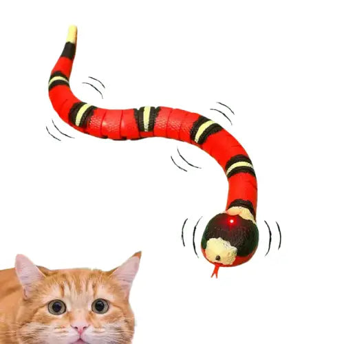 Jouet Serpent Pour Un Petit Compagnon Heureux Et Actif! - 1 Serpent Persifleur™ Transparent Background