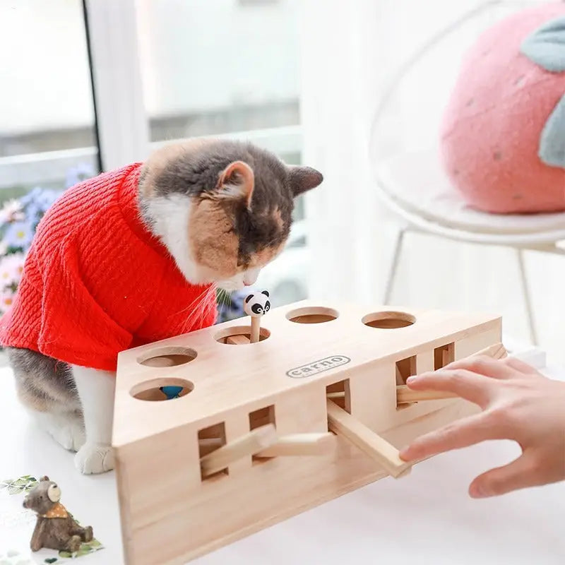 Chat en pull douillet jouant avec une souris interactive en bois, jouet pour chat