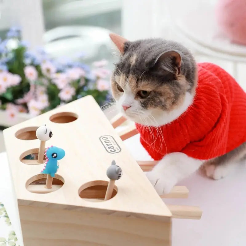 Chat en pull jouant avec une souris interactive en bois, améliorant le linstinct