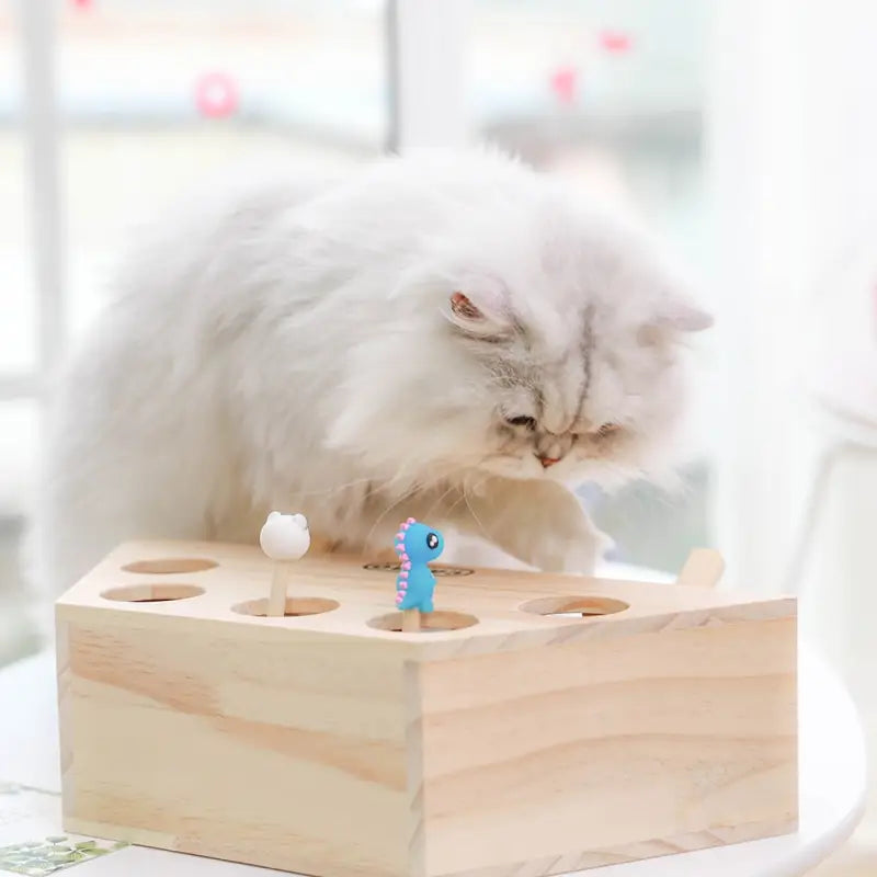 Le chat s’amuse avec le jouet interactif de la souris en bois, qui stimule l’instinct de chasse