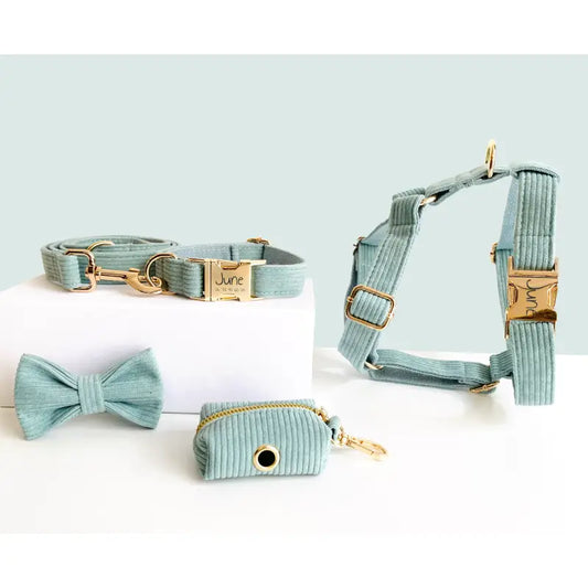 Kit Complet Chien Personnalisé Velours Côtelé Bleu Ciel