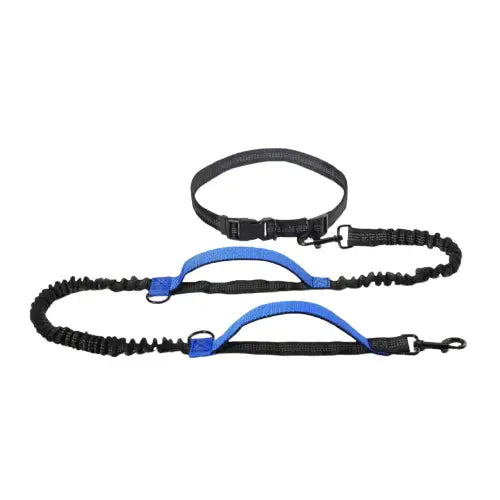 Laisse pour courrir avec son chien Transparent Background