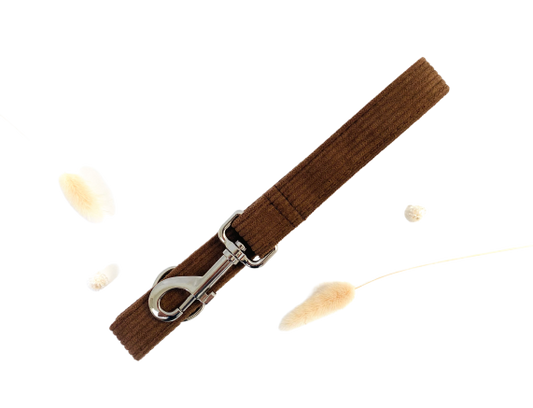 Laisse Velours Côtelé Chocolat Transparent Background