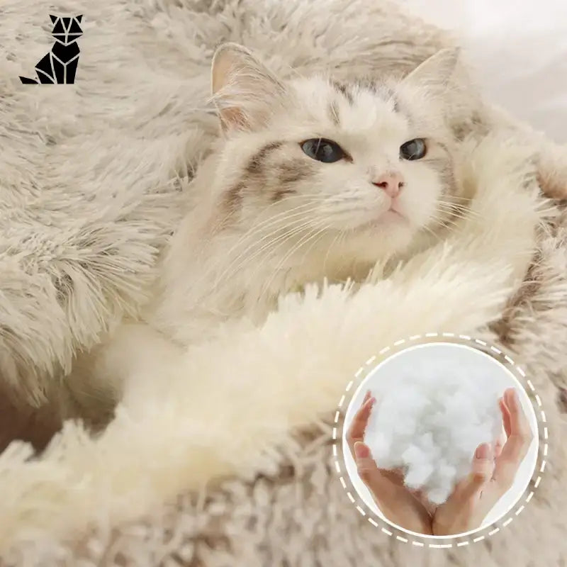 Lit Rond En Peluche Pour Un Sommeil Douillet De Votre Chat