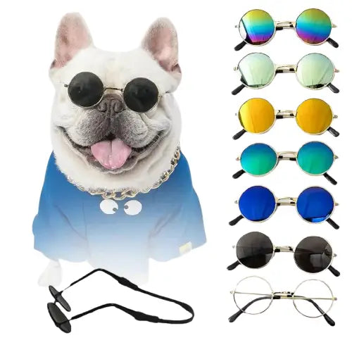 Chien portant des lunettes de soleil et une chemise bleue de Sunglasses for Dogs : SFP Accessories for Animals Transparent Background