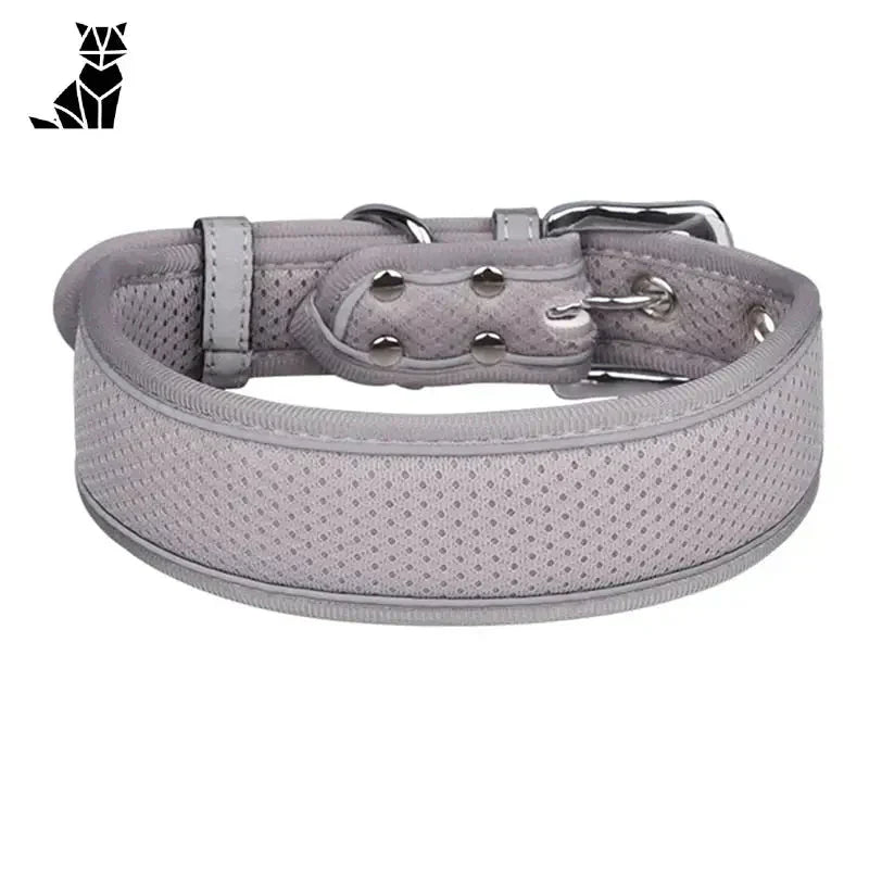 Collier pour Whippet