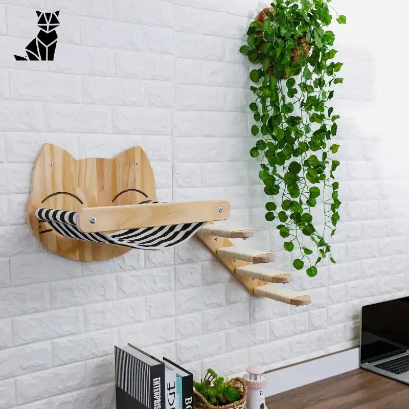 Mur d’escalade pour chat - Une étagère en bois avec une plante accrochée dessus, mur escalade, jeu vertical unique