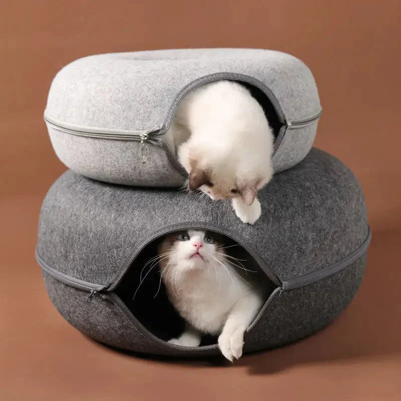 Chat appréciant le Cozy Cat Kennel - lit gris, douillet, et parfait pour les repos félins