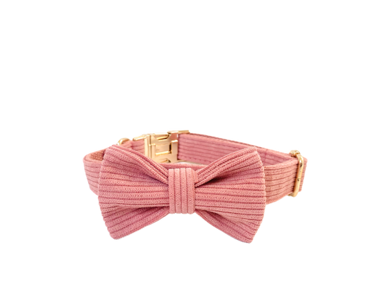 Noeud Papillon Velours Côtelé Corail Transparent Background