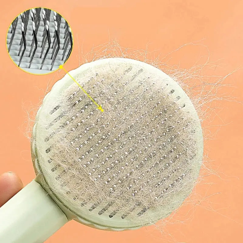 Peigne à chat avec poils, design ergonomique, indispensable pour le toilettage et l’élimination des poils morts