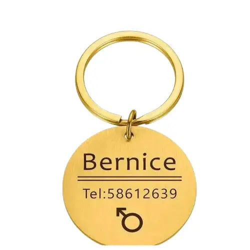 Médaille Personnalisable Pour Collier Chat Et Chien Transparent Background