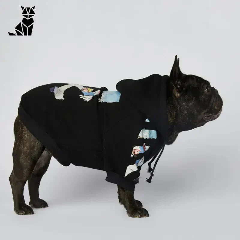 Chien mignon dans un manteau noir élégant et chaud avec imprimé blanc et bleu - pull idéal pour animaux de compagnie