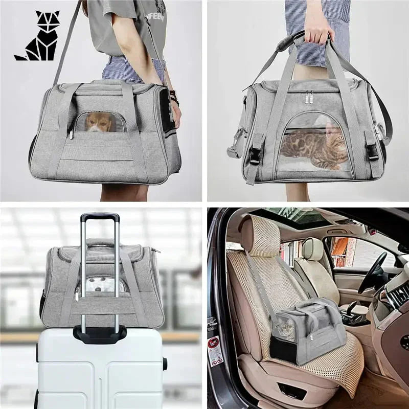 Femme transportant un chien dans un siège auto avec le sac de voyage pour chat ’Secure et Calming