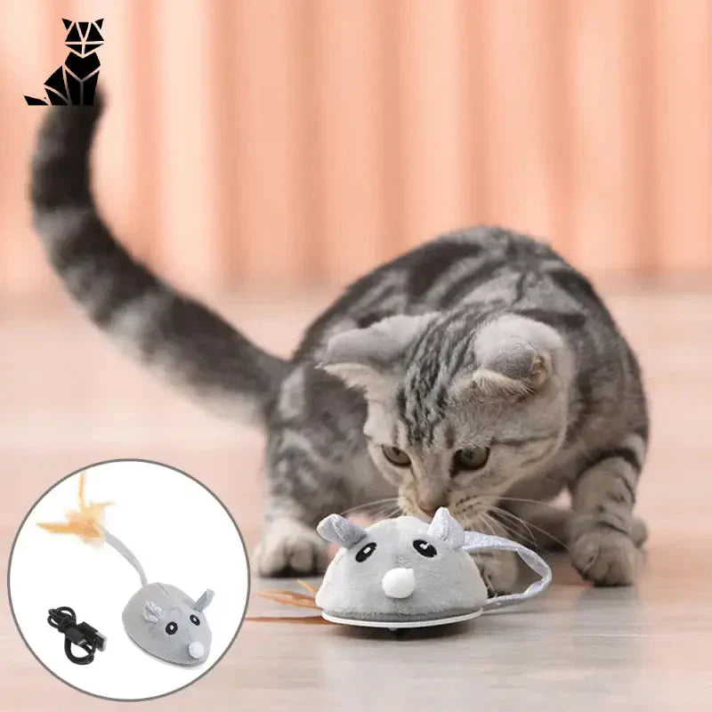 Un chat s’amuse avec le jouet CatchMe Mouse sur le sol pour une stimulation cognitive optimale