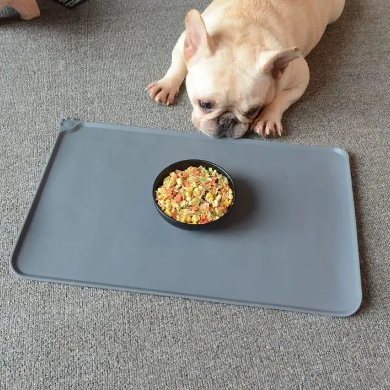 Tapis de gamelle en silicone anti - dérapant et imperméable