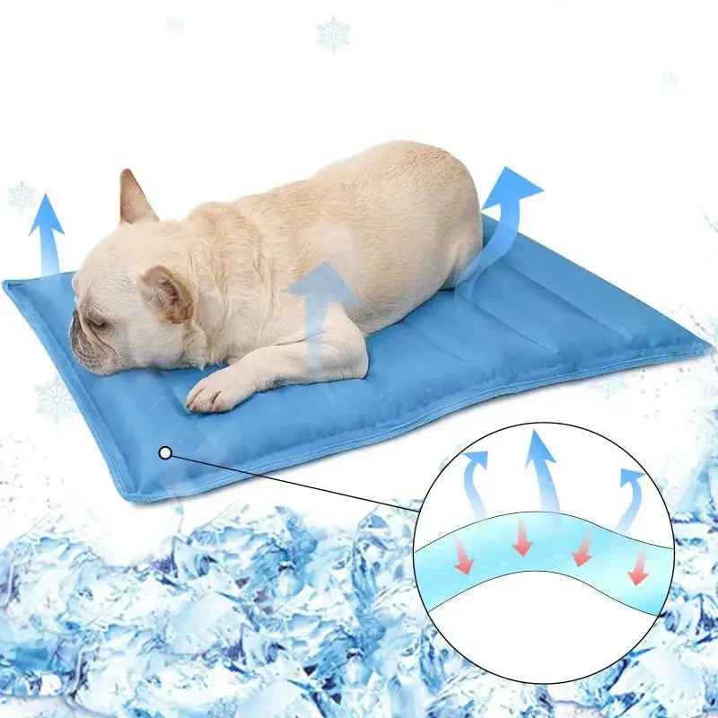 Non-Toxic Gel Dog Cooling Mat - chien gel tapis rafraîchissant avec chien couché sur couverture bleue avec flocons de neige