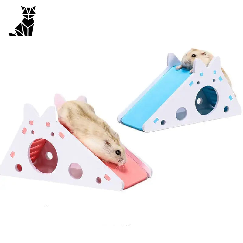 Deux hamsters heureux jouant sur un toboggan pour petit compagnon en bois coloré