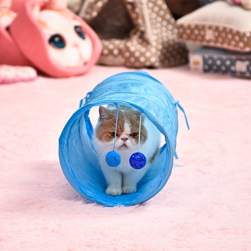 Tunnel coloré pour chat